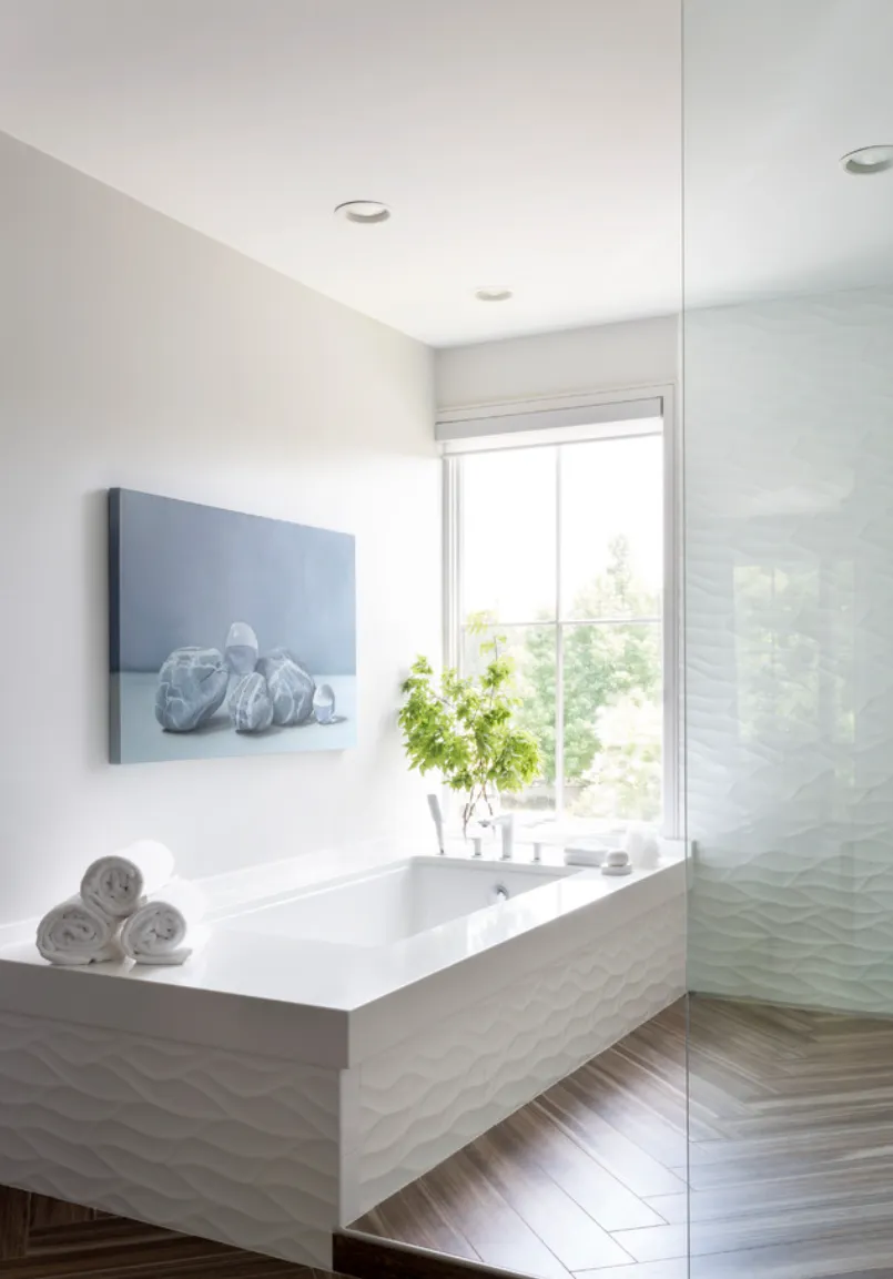 Luxury Interiors interior design reference